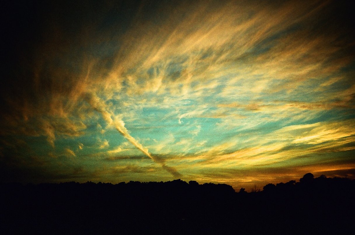Fuji Velvia 50 Slide/Reversal 120 Film - Image 3