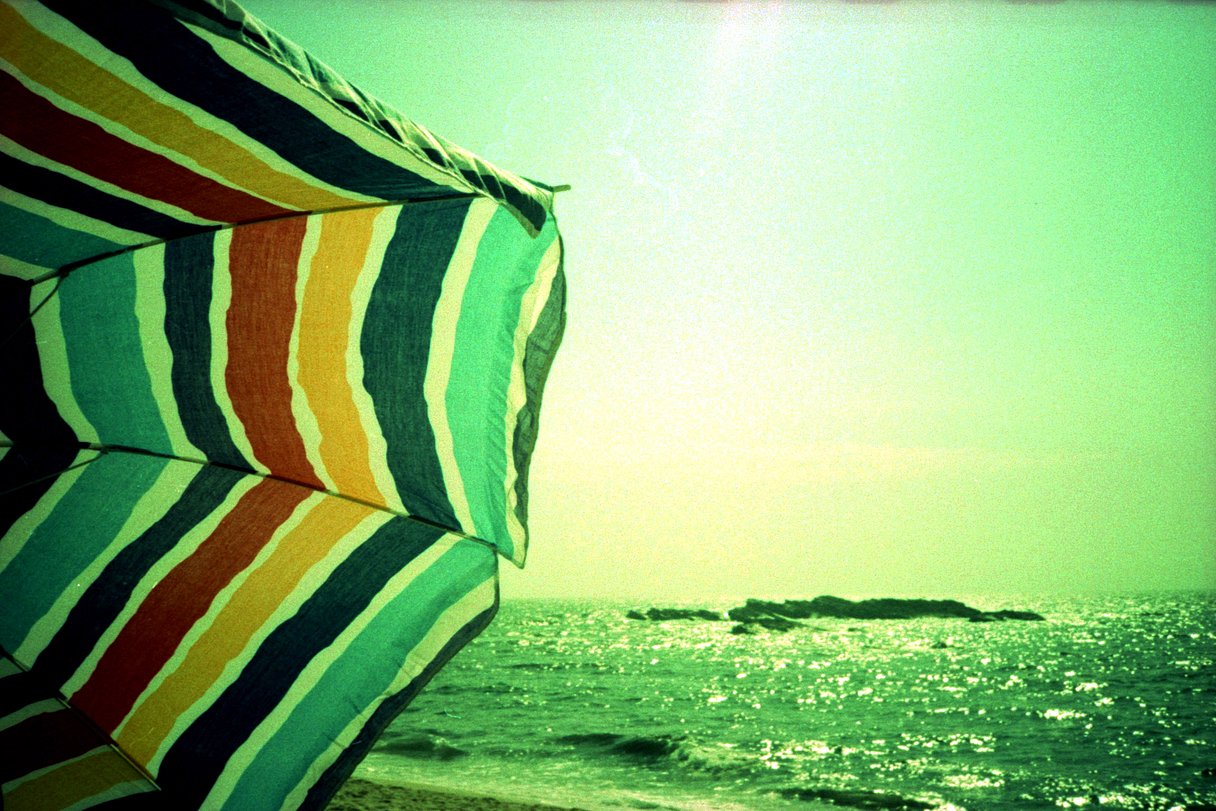 Fuji Velvia 50 Slide/Reversal 120 Film - Image 8